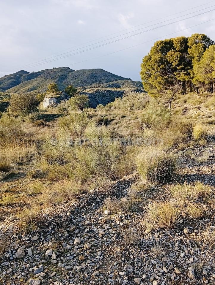 Land in Somontin, Almeria, Spanien 4 Schlafzimmer, 190 m2 Nr. 183988