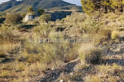 Terreno in vendita a Somontin, Almeria, Spagna 4 camere da letto, 190 mq. N° 183988 - foto 13