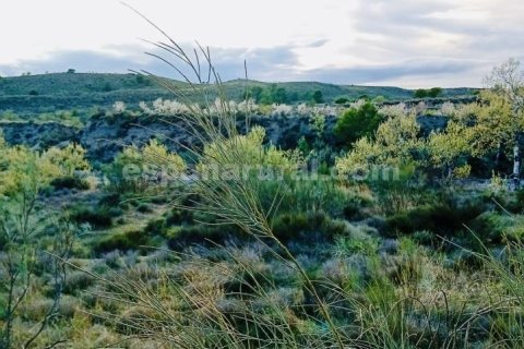 Terreno in vendita a Somontin, Almeria, Spagna 4 camere da letto, 190 mq. N° 183988 - foto 11