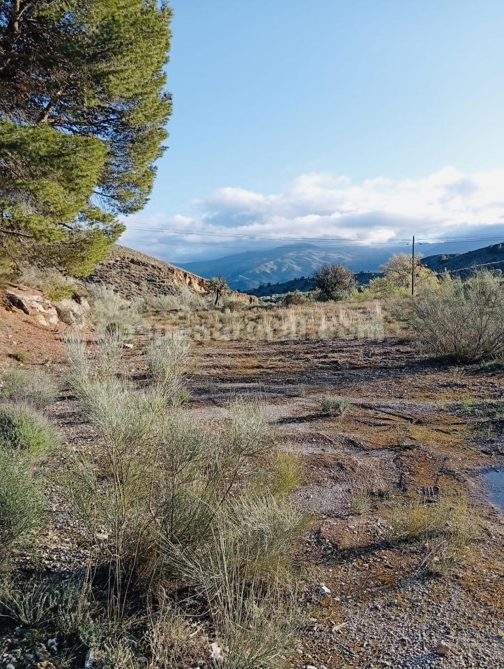 Land in Somontin, Almeria, Spanien 4 Schlafzimmer, 190 m2 Nr. 183988