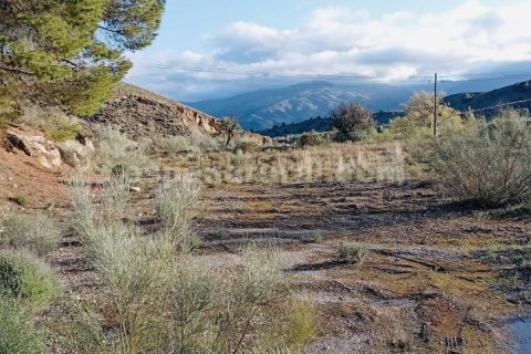 Terreno in vendita a Somontin, Almeria, Spagna 4 camere da letto, 190 mq. N° 183988 - foto 3