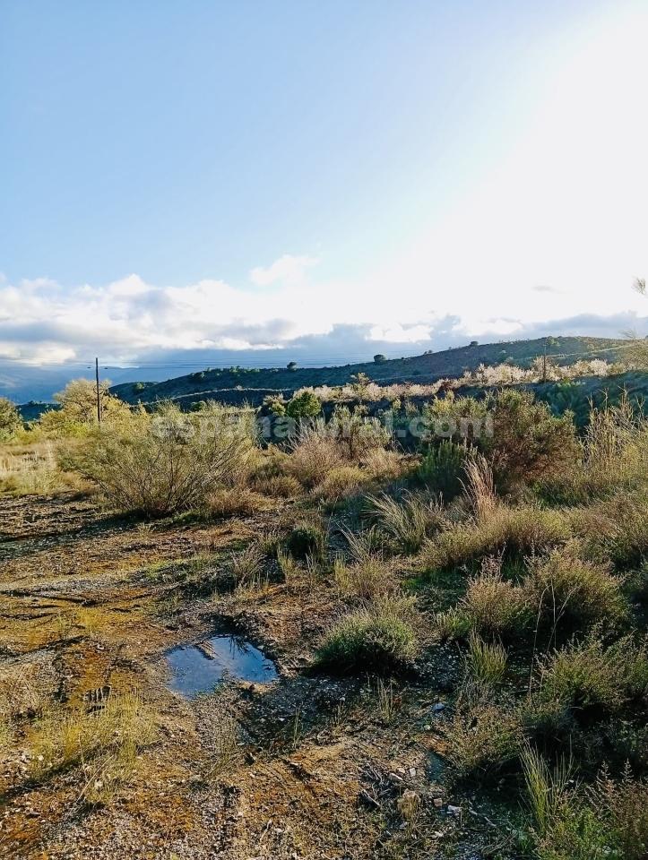 Land in Somontin, Almeria, Spanien 4 Schlafzimmer, 190 m2 Nr. 183988
