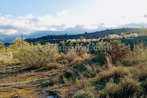 Terreno in vendita a Somontin, Almeria, Spagna 4 camere da letto, 190 mq. N° 183988 - foto 5