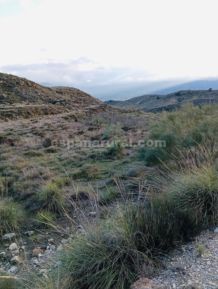 Land in Somontin, Almeria, Spanien 4 Schlafzimmer, 190 m2 Nr. 183988
