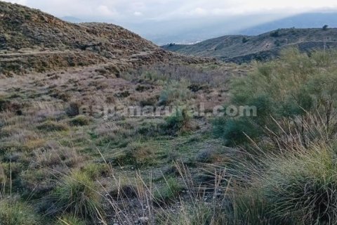 Terreno in vendita a Somontin, Almeria, Spagna 4 camere da letto, 190 mq. N° 183988 - foto 6