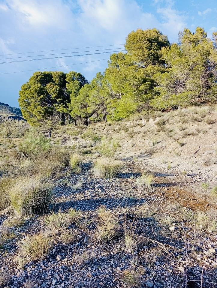 Land in Somontin, Almeria, Spanien 4 Schlafzimmer, 190 m2 Nr. 183988