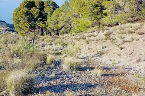 Terreno in vendita a Somontin, Almeria, Spagna 4 camere da letto, 190 mq. N° 183988 - foto 10