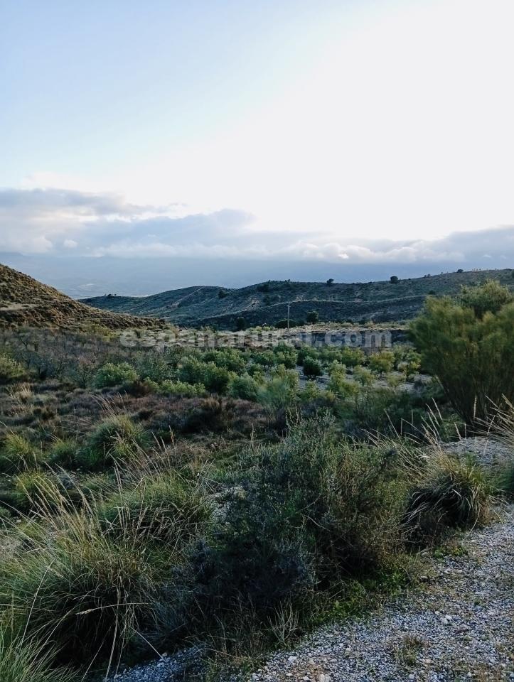 Land in Somontin, Almeria, Spanien 4 Schlafzimmer, 190 m2 Nr. 183988