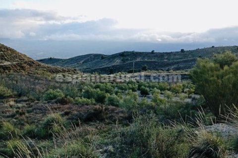 Terreno in vendita a Somontin, Almeria, Spagna 4 camere da letto, 190 mq. N° 183988 - foto 14