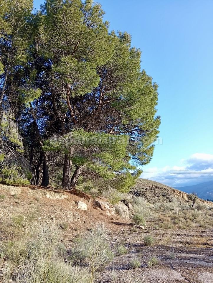 Land in Somontin, Almeria, Spanien 4 Schlafzimmer, 190 m2 Nr. 183988
