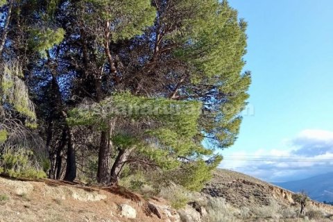 Terreno in vendita a Somontin, Almeria, Spagna 4 camere da letto, 190 mq. N° 183988 - foto 7