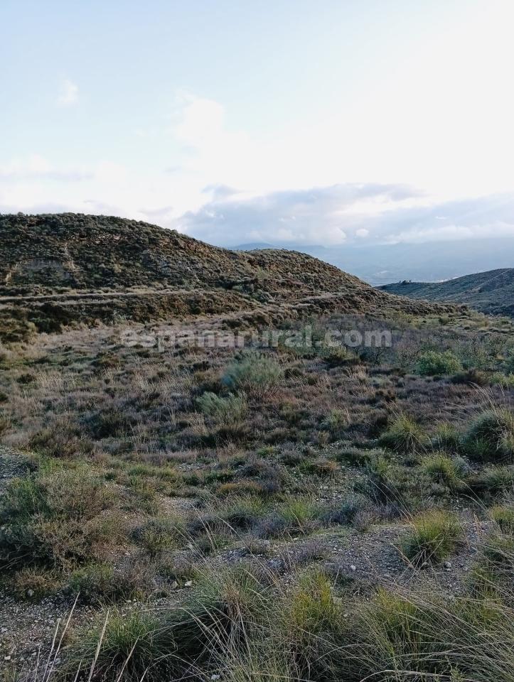 Land in Somontin, Almeria, Spanien 4 Schlafzimmer, 190 m2 Nr. 183988