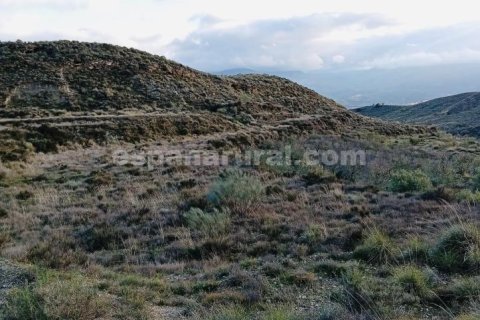 Terreno in vendita a Somontin, Almeria, Spagna 4 camere da letto, 190 mq. N° 183988 - foto 4