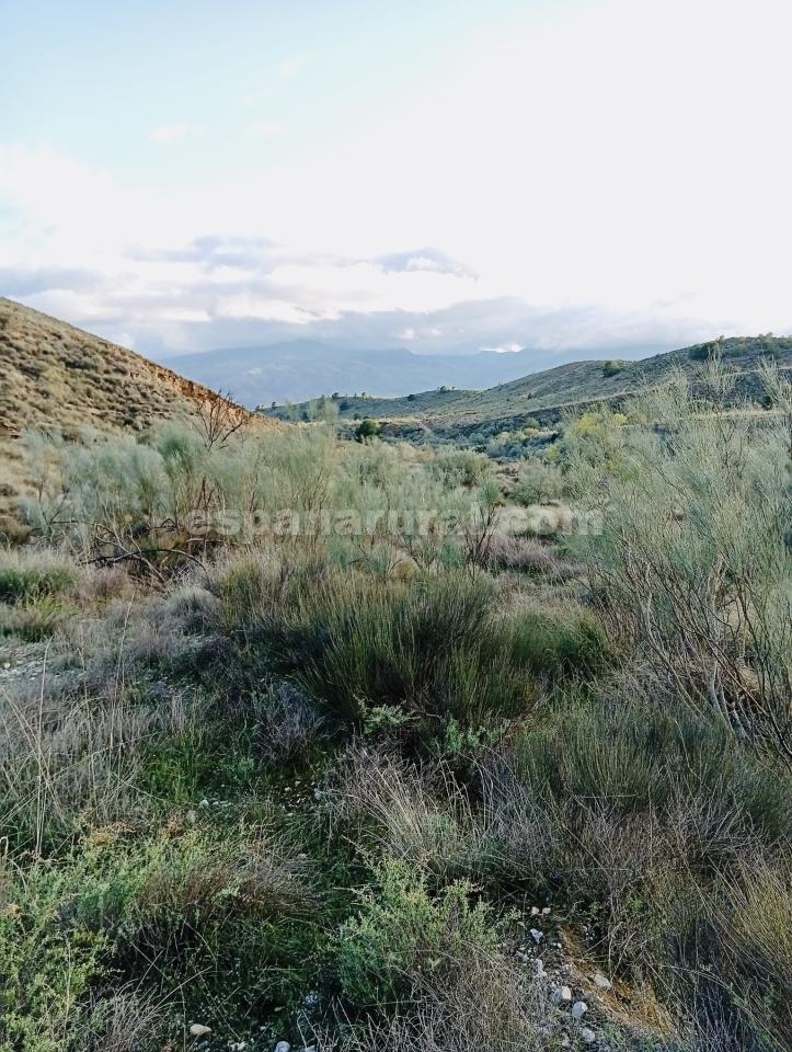 Land in Somontin, Almeria, Spanien 4 Schlafzimmer, 190 m2 Nr. 183988