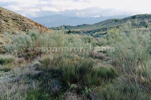 Terreno in vendita a Somontin, Almeria, Spagna 4 camere da letto, 190 mq. N° 183988 - foto 9
