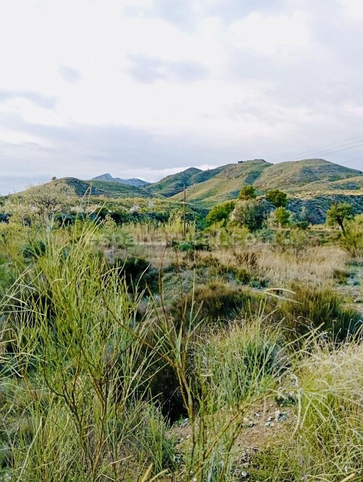 Land in Somontin, Almeria, Spanien 4 Schlafzimmer, 190 m2 Nr. 183988