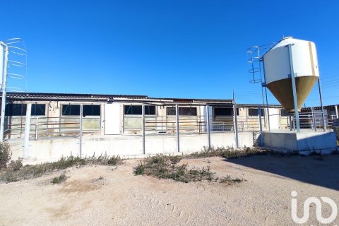 Terreno in vendita a Llorenc Del Penedes, Tarragona, Spagna 8000 mq. N° 153707 - foto 4