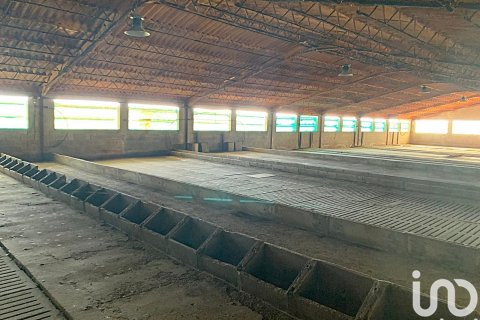 Terreno in vendita a Llorenc Del Penedes, Tarragona, Spagna 8000 mq. N° 153707 - foto 17