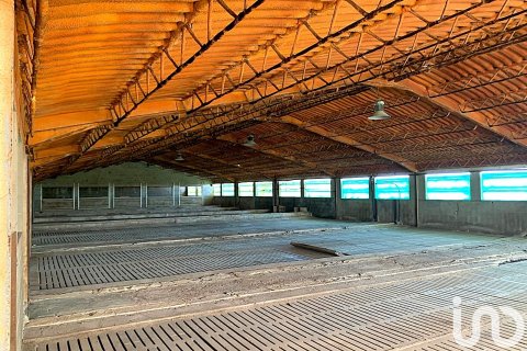 Terreno in vendita a Llorenc Del Penedes, Tarragona, Spagna 8000 mq. N° 153707 - foto 19