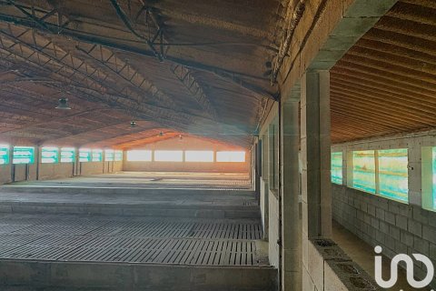 Terreno in vendita a Llorenc Del Penedes, Tarragona, Spagna 8000 mq. N° 153707 - foto 11