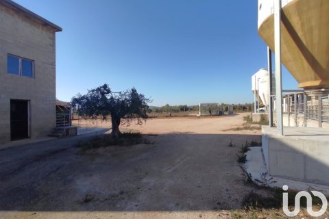 Terreno in vendita a Llorenc Del Penedes, Tarragona, Spagna 8000 mq. N° 153707 - foto 5