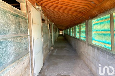 Terreno in vendita a Llorenc Del Penedes, Tarragona, Spagna 8000 mq. N° 153707 - foto 12