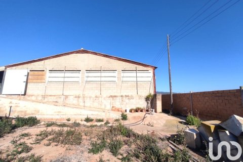 Terreno in vendita a Llorenc Del Penedes, Tarragona, Spagna 8000 mq. N° 153707 - foto 9