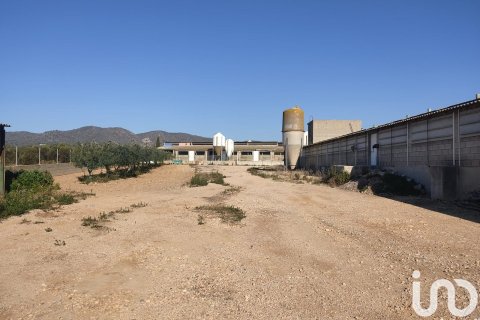 Terreno in vendita a Llorenc Del Penedes, Tarragona, Spagna 8000 mq. N° 153707 - foto 8