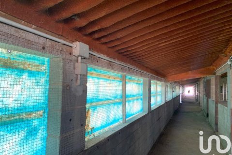 Terreno in vendita a Llorenc Del Penedes, Tarragona, Spagna 8000 mq. N° 153707 - foto 13