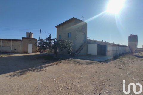 Terreno in vendita a Llorenc Del Penedes, Tarragona, Spagna 8000 mq. N° 153707 - foto 2