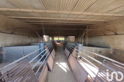 Terreno in vendita a Llorenc Del Penedes, Tarragona, Spagna 8000 mq. N° 153707 - foto 23