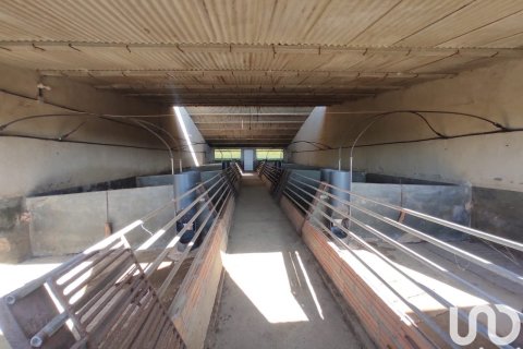 Terreno in vendita a Llorenc Del Penedes, Tarragona, Spagna 8000 mq. N° 153707 - foto 20