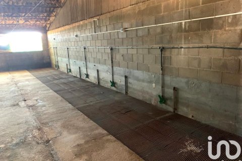 Terreno in vendita a Llorenc Del Penedes, Tarragona, Spagna 8000 mq. N° 153707 - foto 18