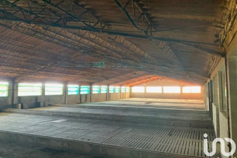 Terreno in vendita a Llorenc Del Penedes, Tarragona, Spagna 8000 mq. N° 153707 - foto 15