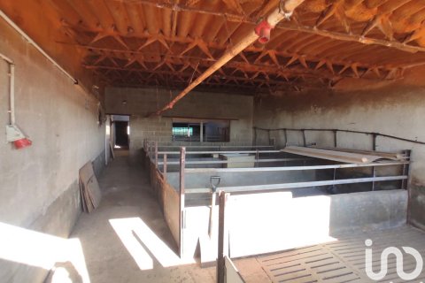 Terreno in vendita a Llorenc Del Penedes, Tarragona, Spagna 8000 mq. N° 153707 - foto 24