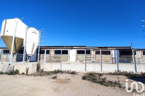 Terreno in vendita a Llorenc Del Penedes, Tarragona, Spagna 8000 mq. N° 153707 - foto 3