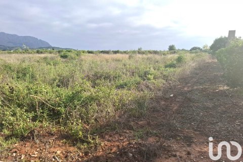 Terreno in vendita a Benidoleig, Alicante, Spagna 14230 mq. N° 152997 - foto 7