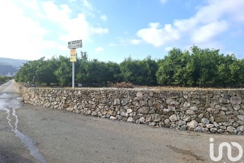 Terreno in vendita a Benidoleig, Alicante, Spagna 14230 mq. N° 152997 - foto 3