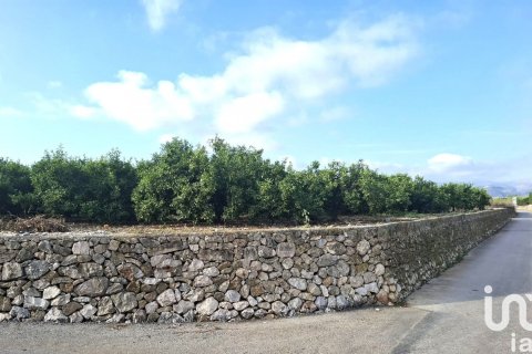 Terreno in vendita a Benidoleig, Alicante, Spagna 14230 mq. N° 152997 - foto 2