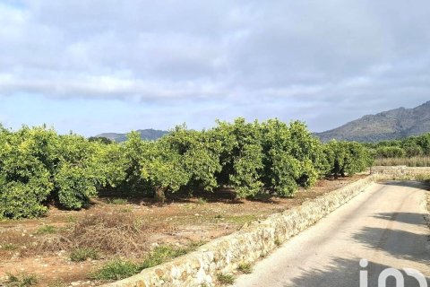 Земельный участок в Бенидолейг, Аликанте, Испания 14230м2 №152997