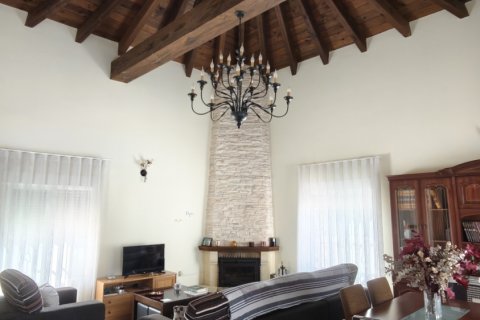 Māja pārdošanā Catral, Alicante, Spānijā 4 istabas, 295 m2 Nr. 152999 - attēls 29