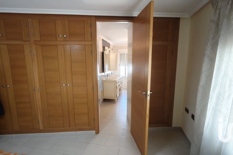 Māja pārdošanā Catral, Alicante, Spānijā 4 istabas, 295 m2 Nr. 152999 - attēls 14