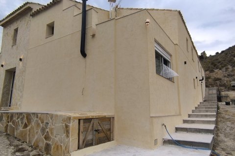 House zum Verkauf in Aspe, Alicante, Spanien 3 Schlafzimmer, 338 m2 Nr. 192120 - Foto 16