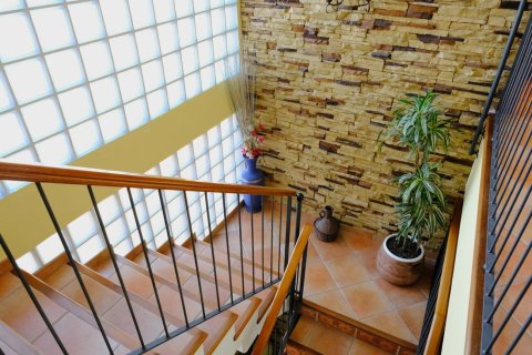 Продажа финки в Ориуэла, Аликанте, Испания 5 спален, 495м2 №189841 - фото 24