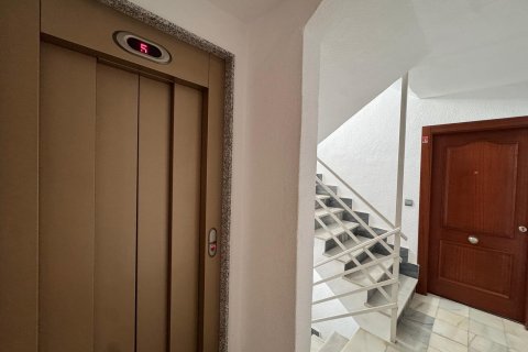 Apartamento en venta en Torrevieja, Alicante, España 3 dormitorios, 133 m2 No. 189844 - foto 3