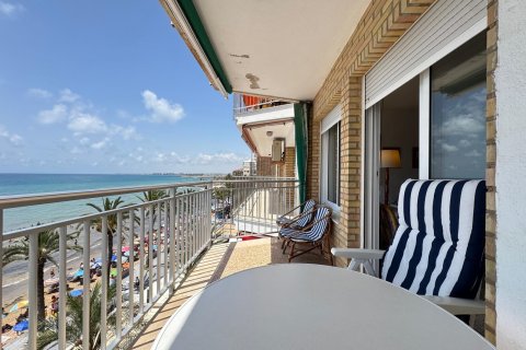 Apartamento en venta en Torrevieja, Alicante, España 3 dormitorios, 133 m2 No. 189844 - foto 14