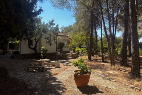 Villa for sale Javea, Alicante, Spain 7 bedrooms, 480 sq.m. No. 118866 - photo 28