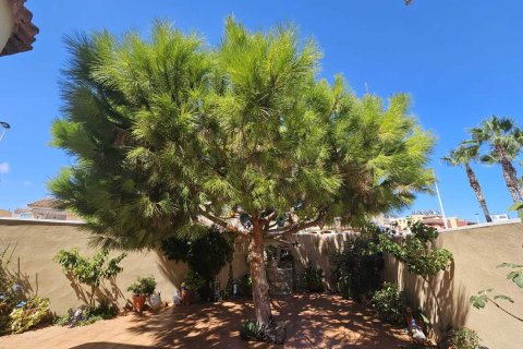 Villa for sale Torrevieja, Alicante, Spain 3 bedrooms, 74 sq.m. No. 137893 - photo 25