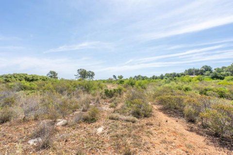 Działka Javea, Alicante, Hiszpania 35 mkw. nr 80700 – zdjęcie 5