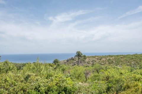 Działka Javea, Alicante, Hiszpania 35 mkw. nr 80700 – zdjęcie 1